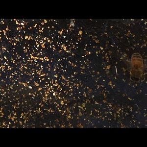 Meet your Posher, Tara